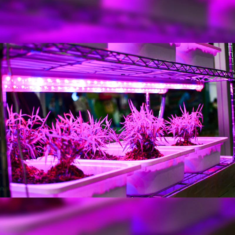 ریسه ال ای دی رشد گیاه مدل فول اسپکتروم 220v
